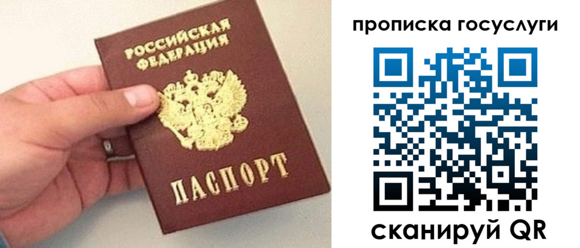 где прописаться в Электроуглях
